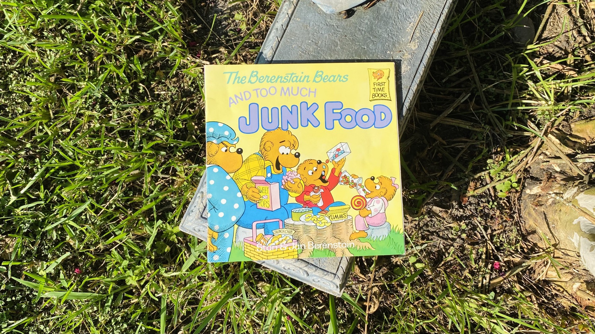 The Berenstain Bears and Too Much Junk Food by Stan and Jan Berenstain